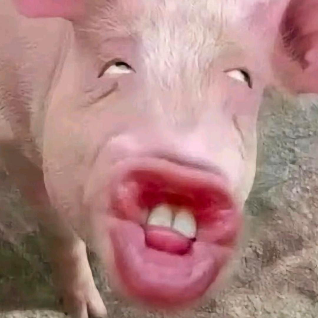 屎王殿下