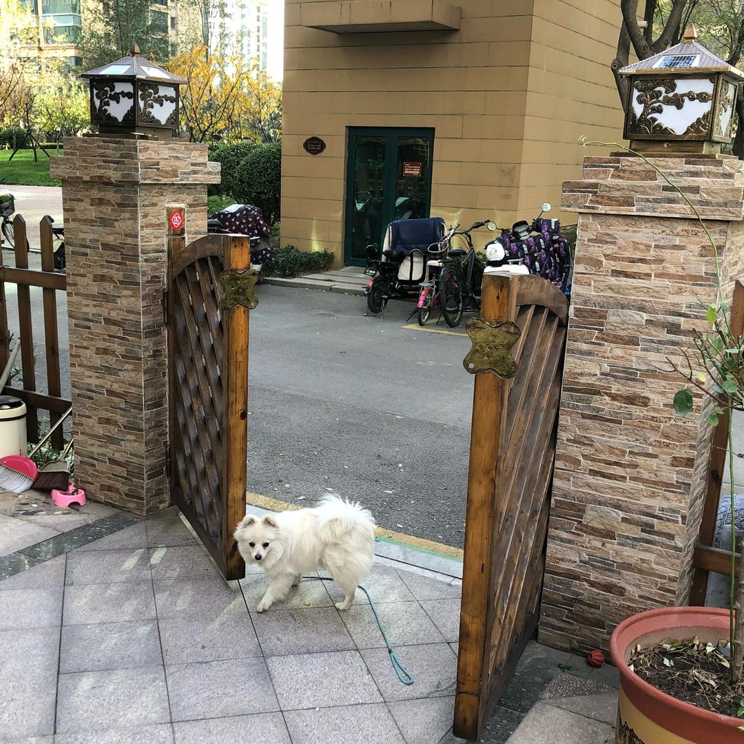 生活简单