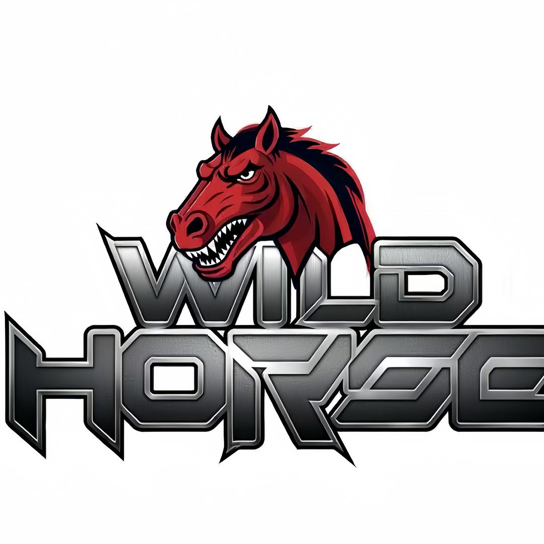 Wild horse越野绞盘