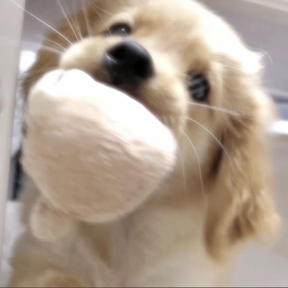zzzz