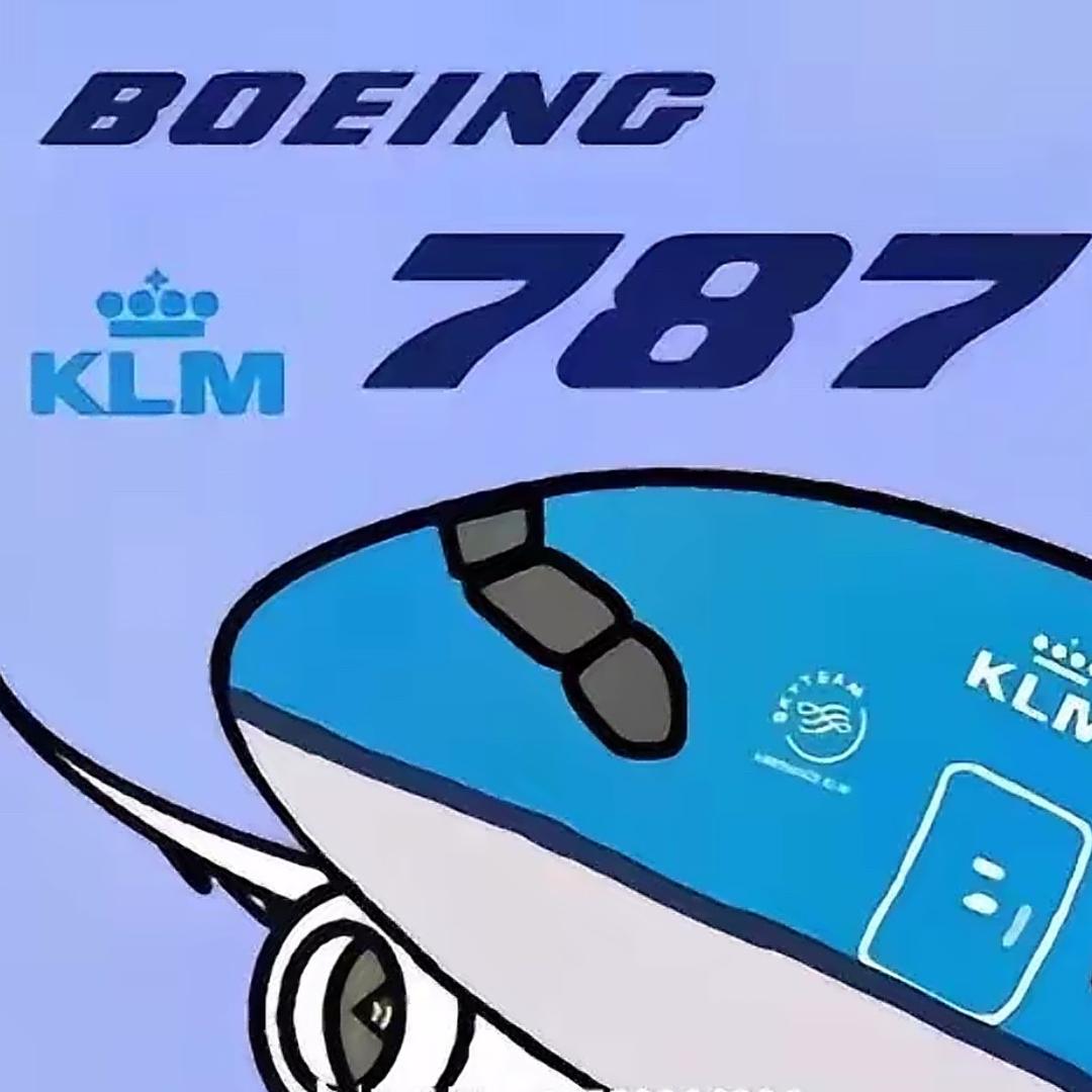 一架在郑州新郑停靠的787