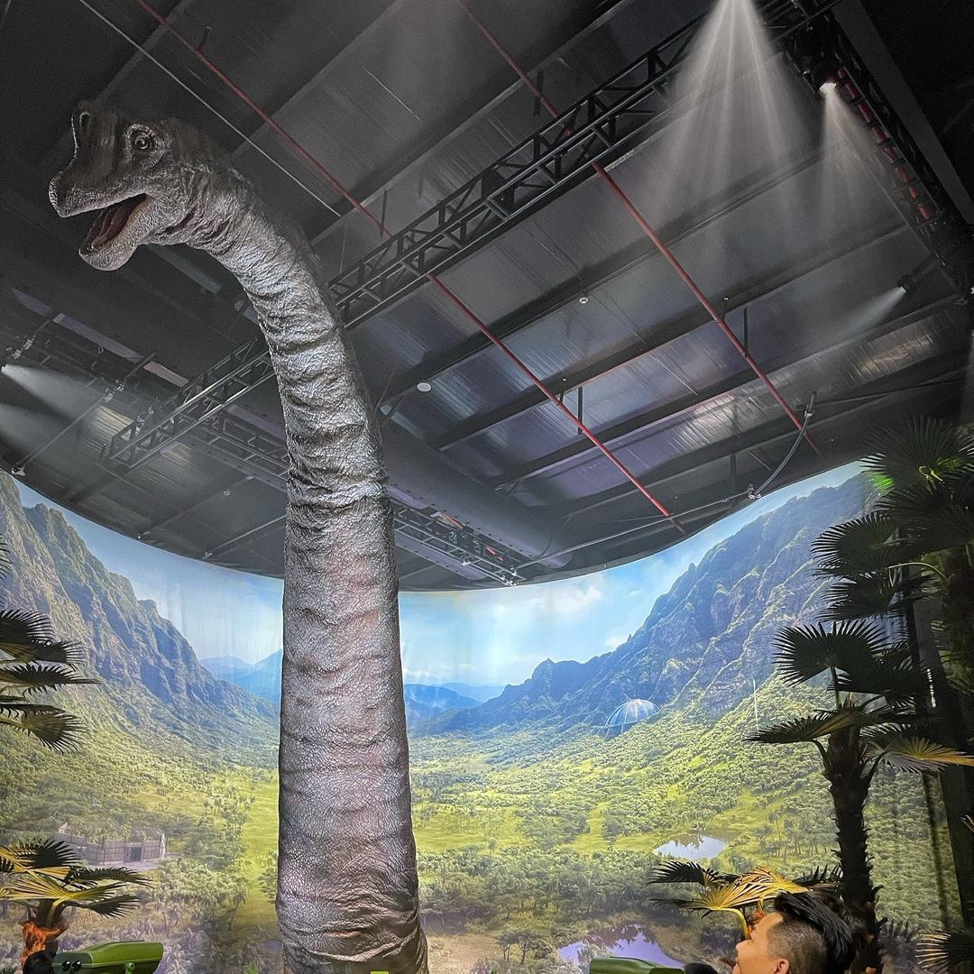 旋风小恐龙🦖