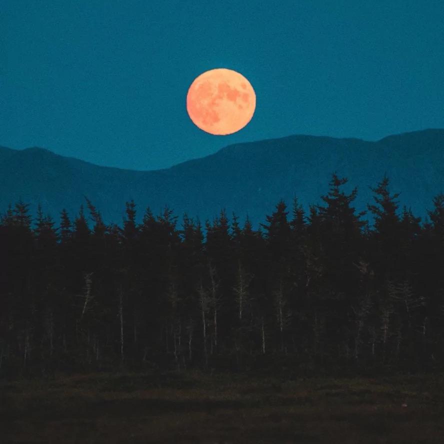 释然🙌🌄《🎤才🎤艺》