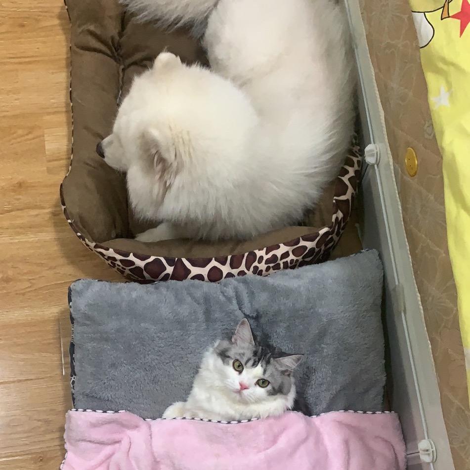 酒师傅与汤老板