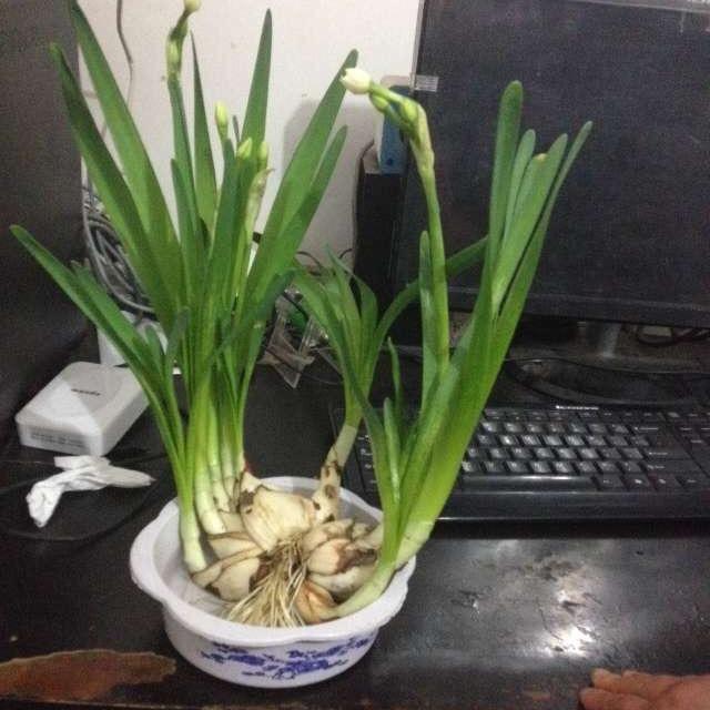 我很闲