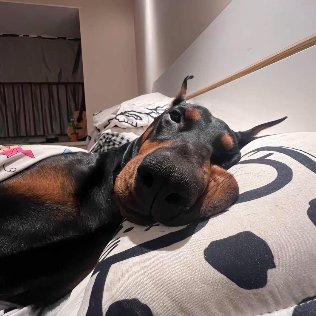 叫我野原新之助