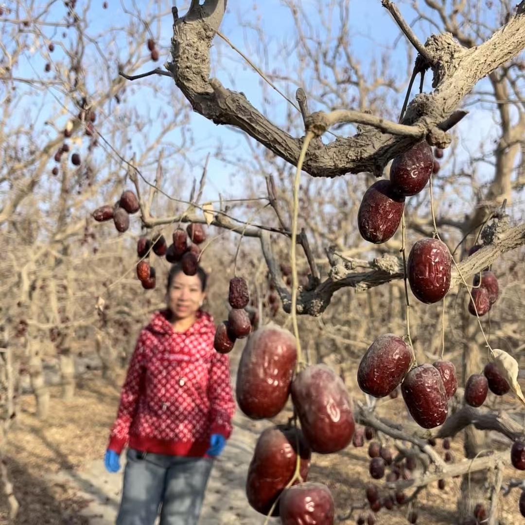 品味新疆新食界