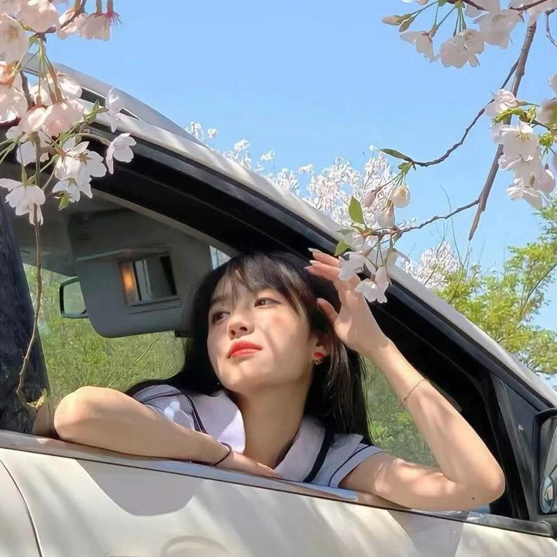 白灵仙仙