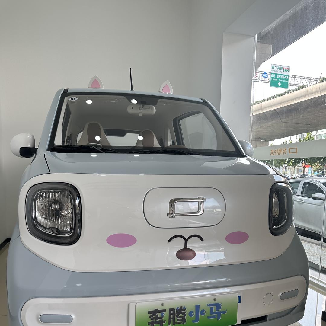 重生之我在青岛卖小马