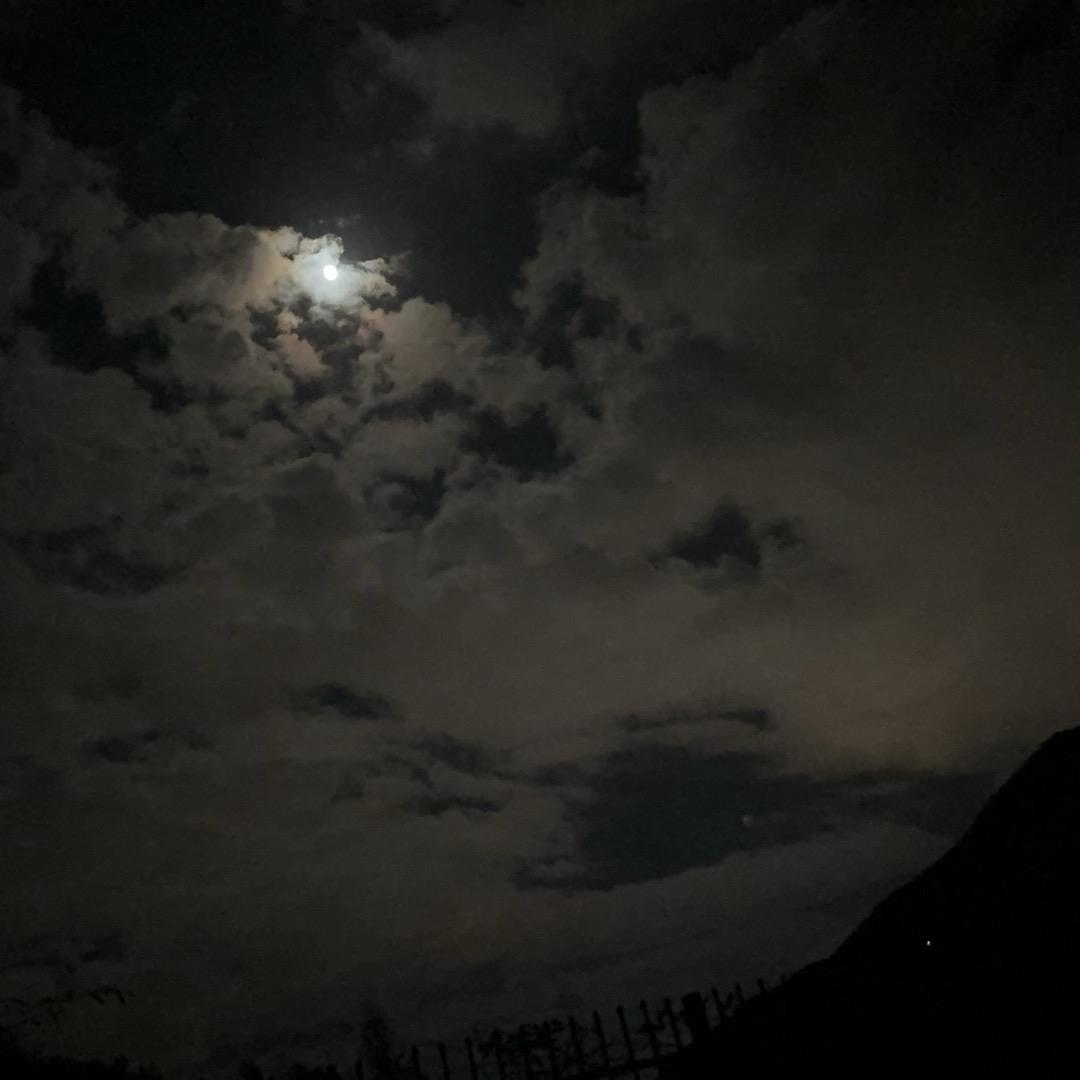 💸 为心动买单