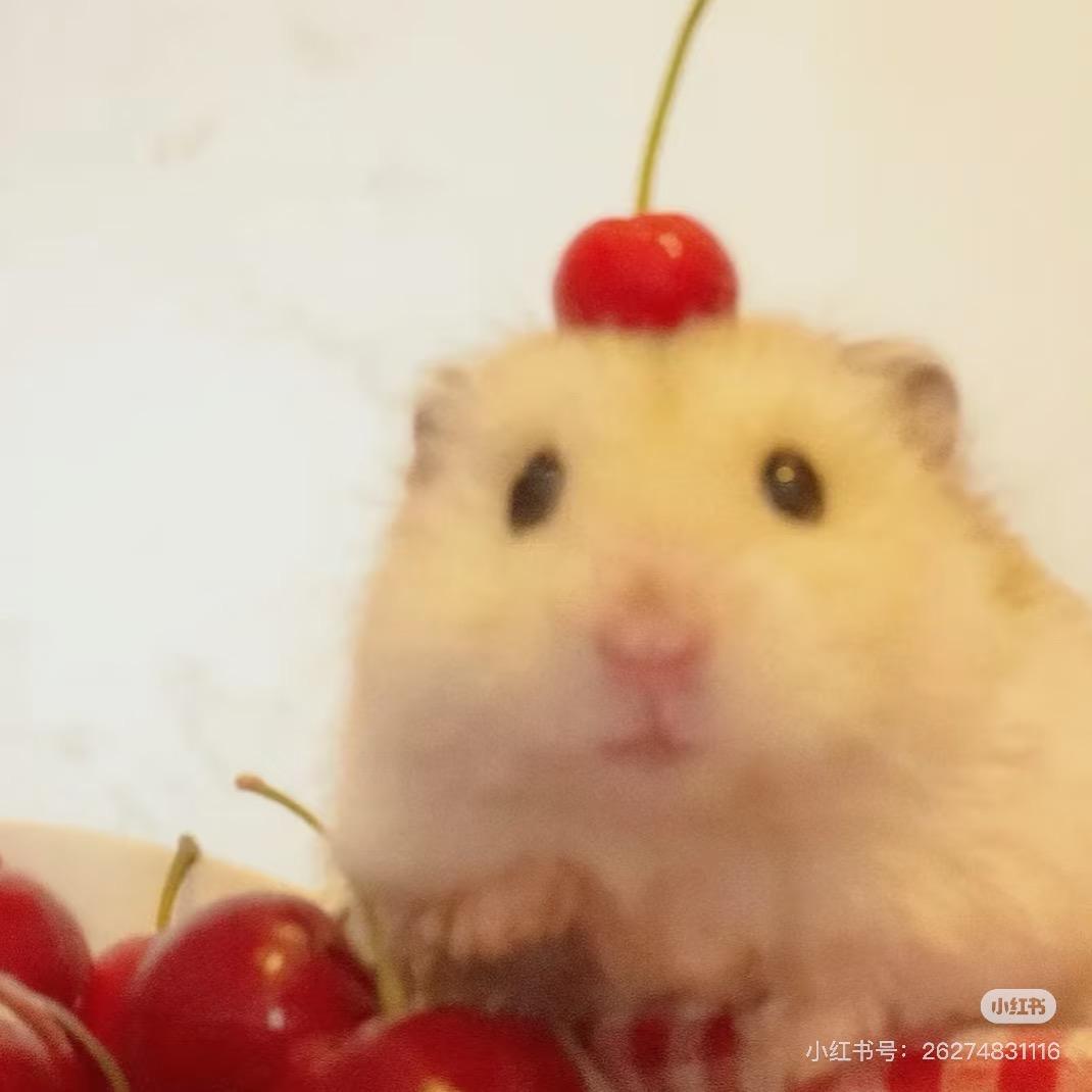 双倍草莓夹心汤圆🍓