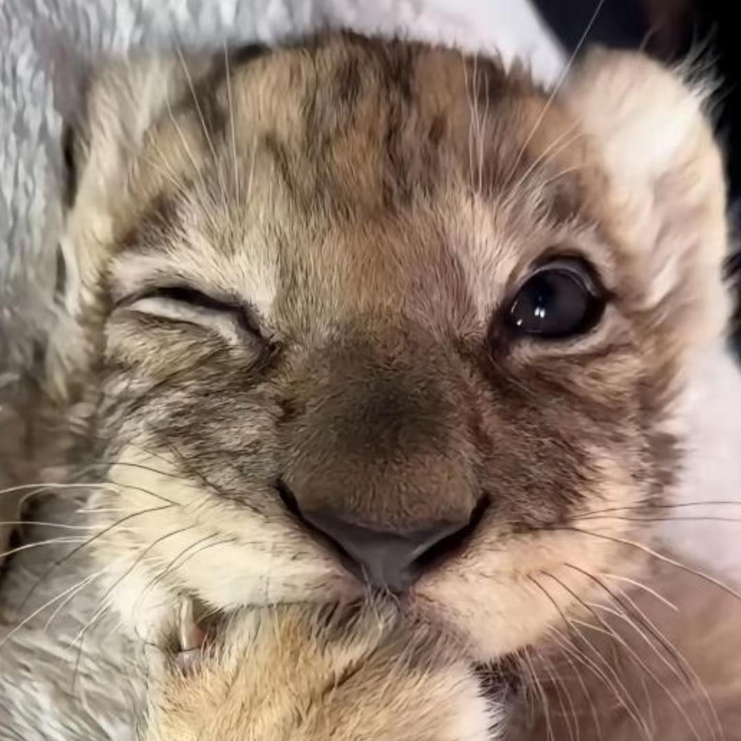 老公玩永劫无间抛妻弃子