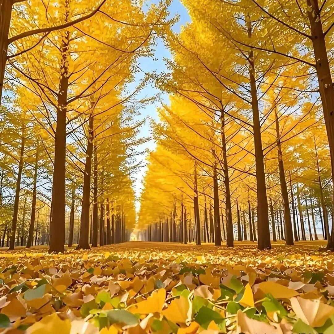 幸福是奋斗出来的