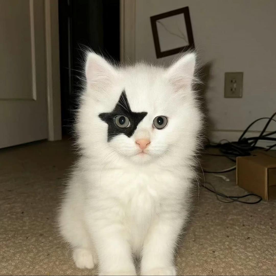 平淡日子里的刺