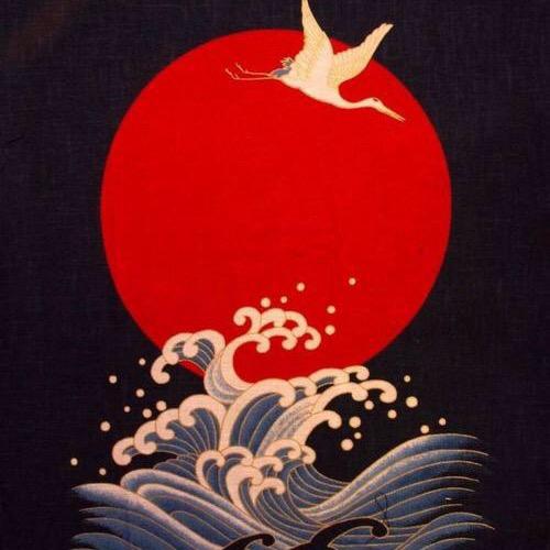 炎皇博美