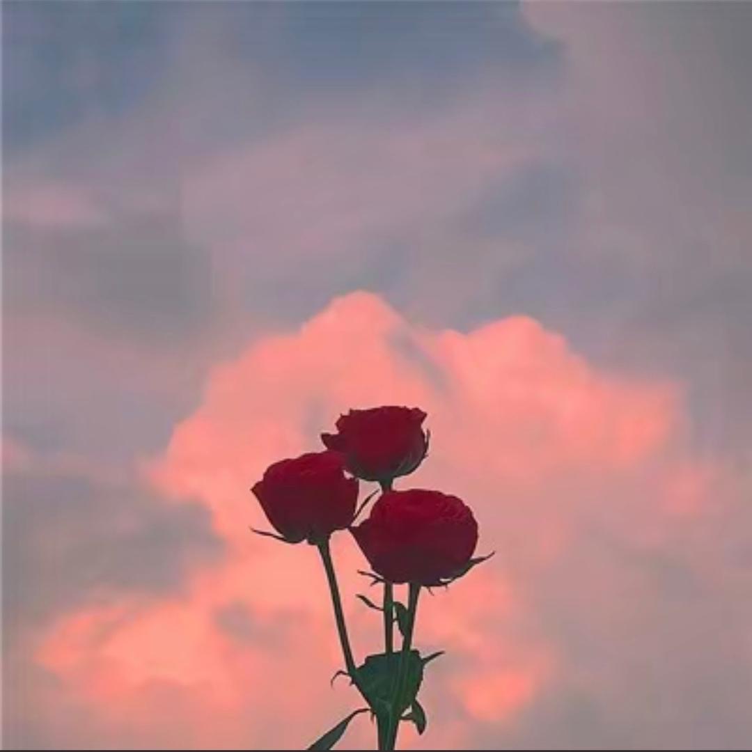 萧潇