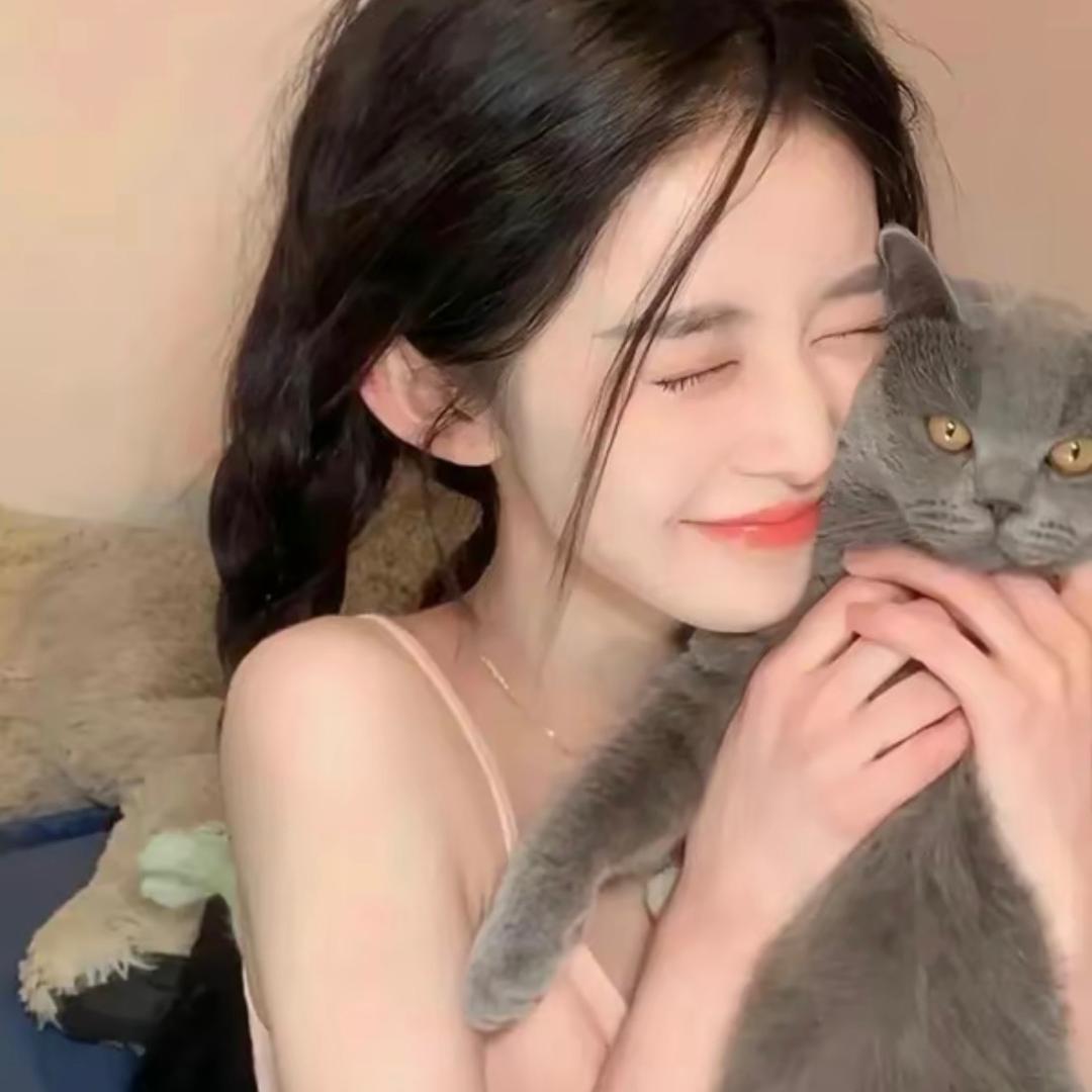 海棠🐱