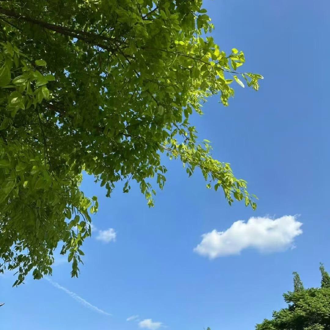 我叫志玲