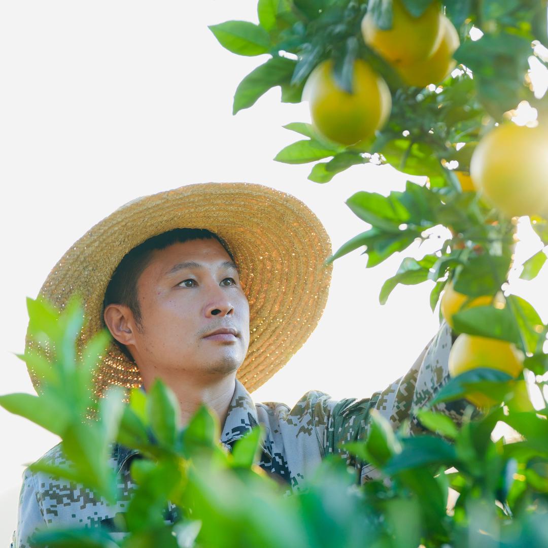 一举出丑