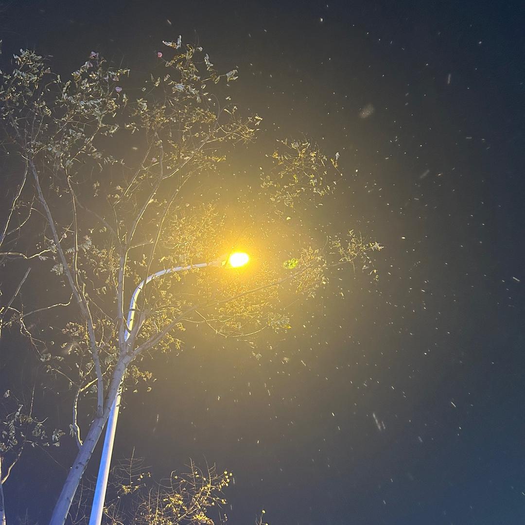 人性的独白