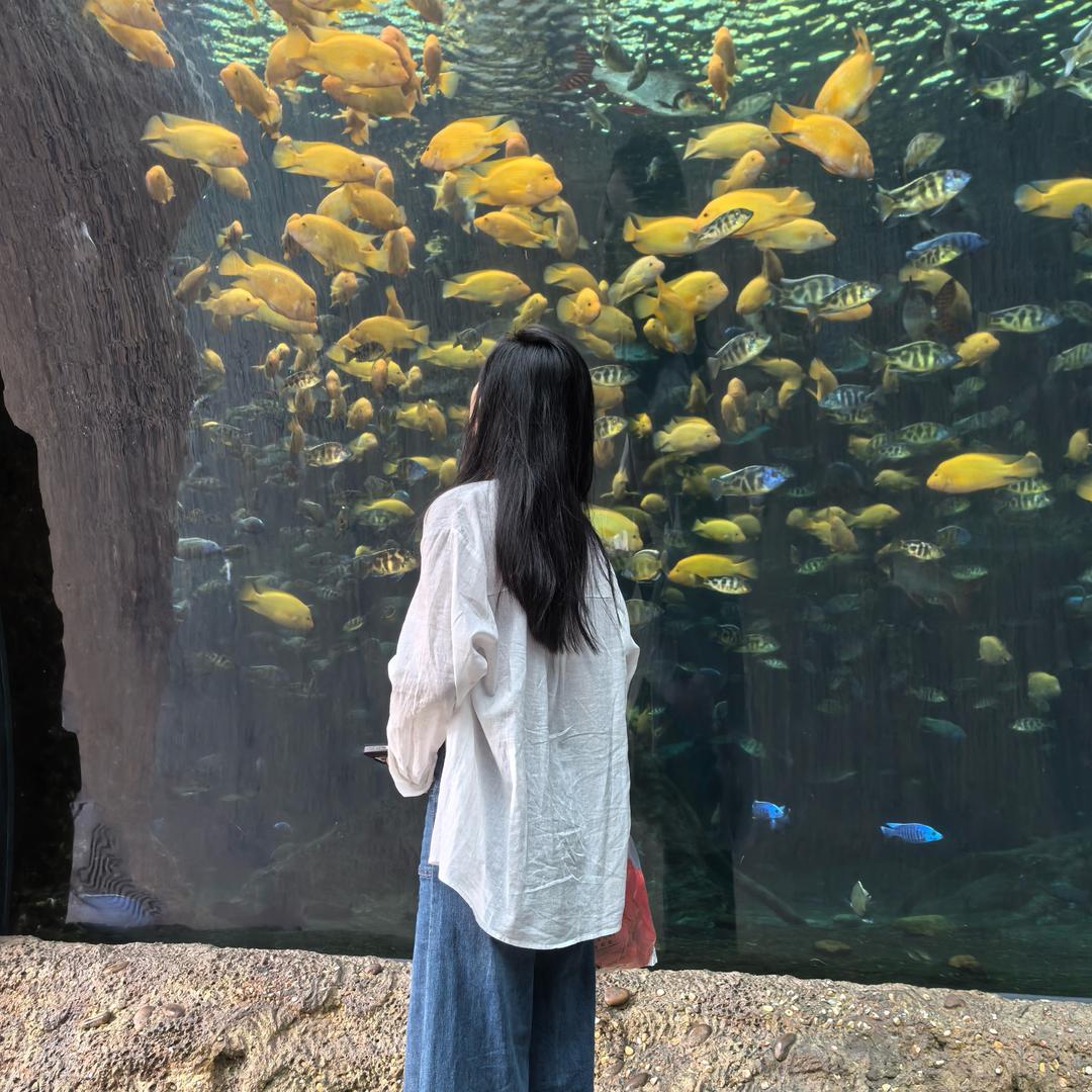 轩轩不吃海鲜🦞