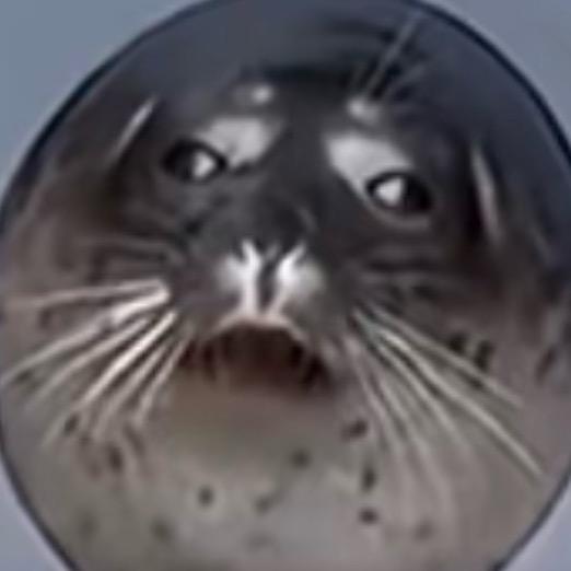 第五