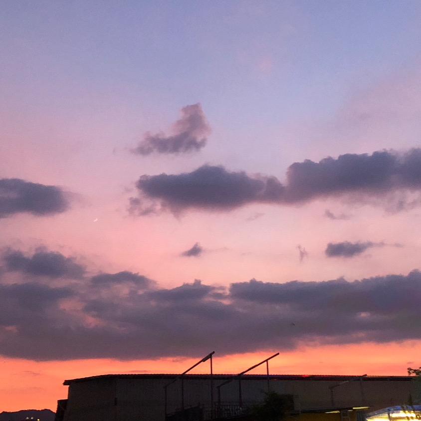 我爱你❤️（520）