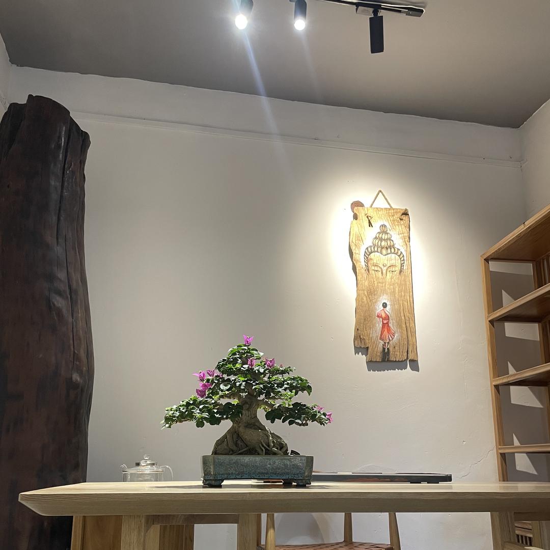 闽艺三角梅园艺