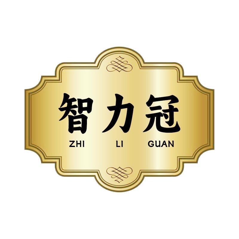 智力冠