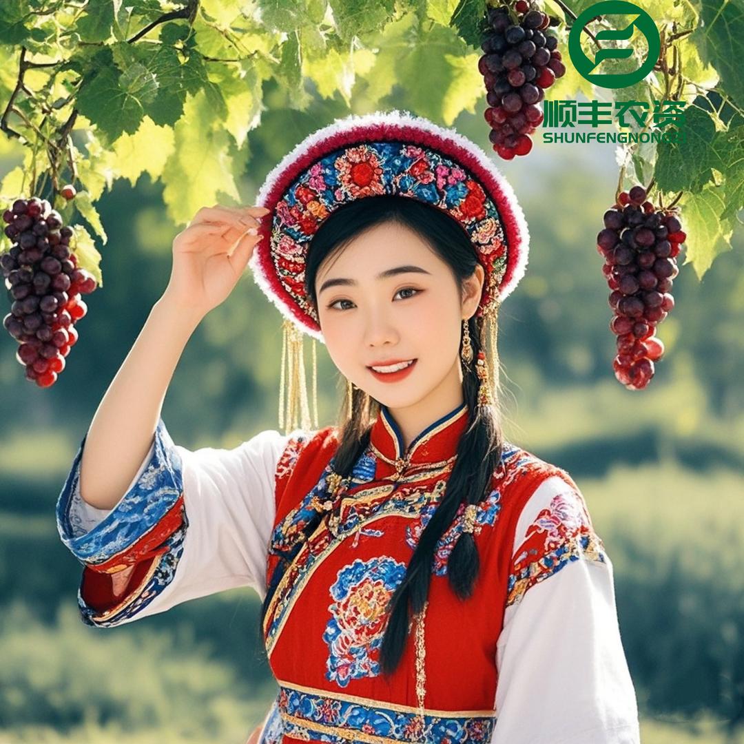 小郭在田间