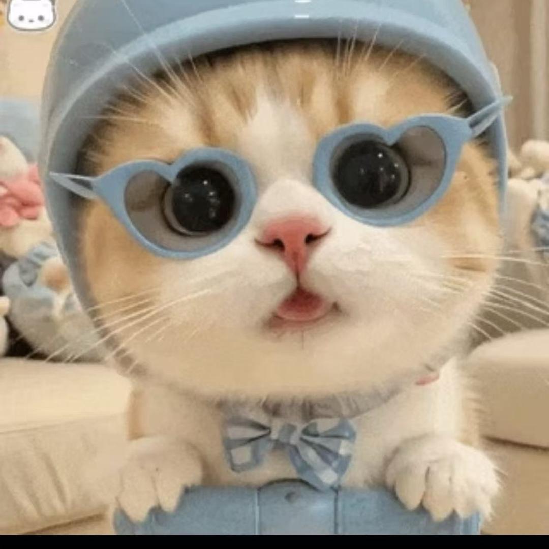 菠萝头🐰