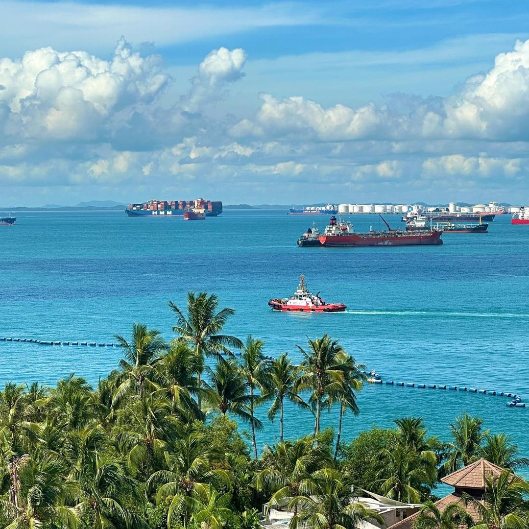 🏝️我在海岛ˋˏ 🔵 ˎˊ贩卖蓝色