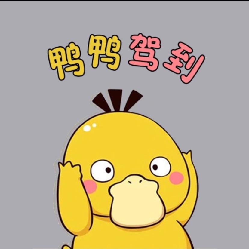 鸭鸭驾到