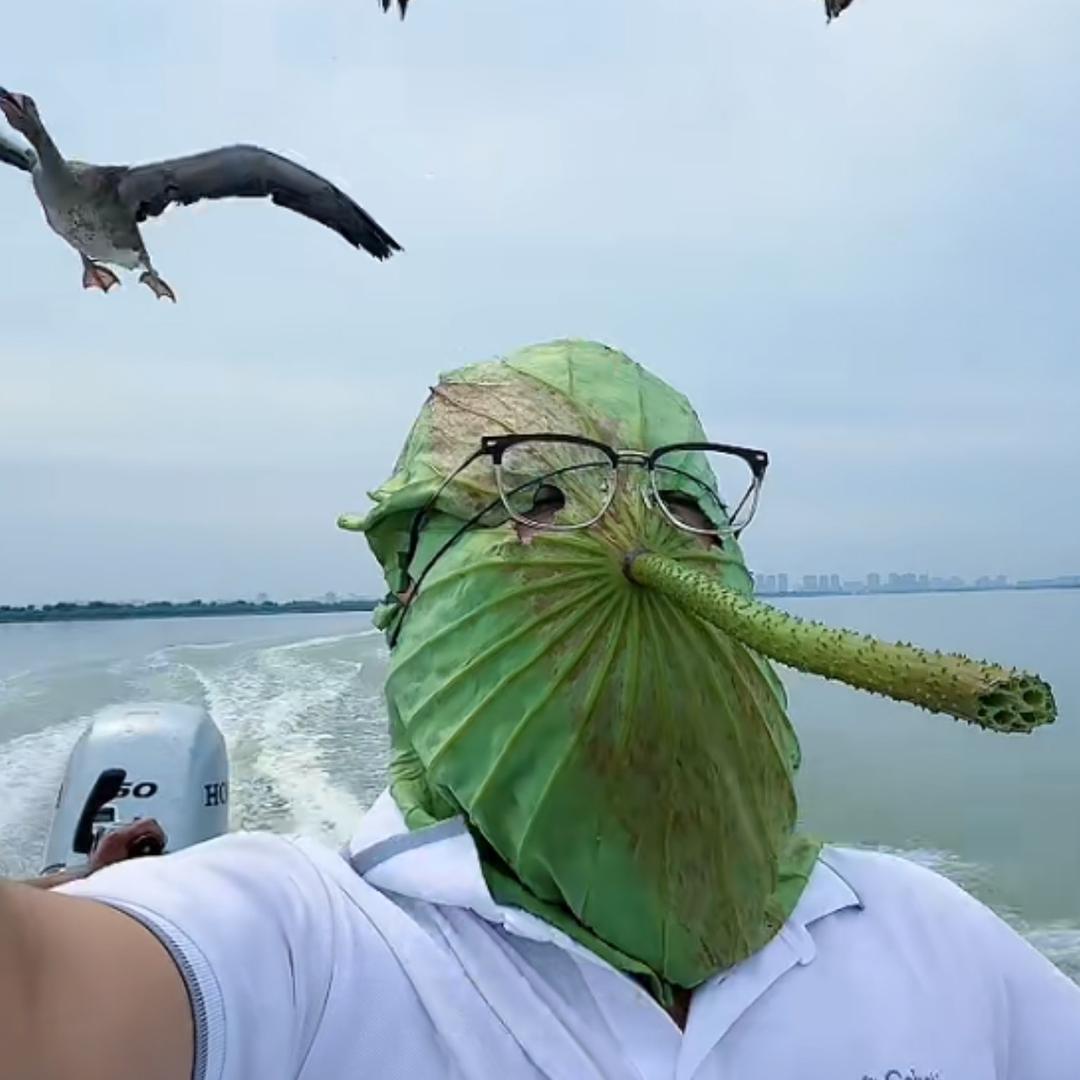焦培木木