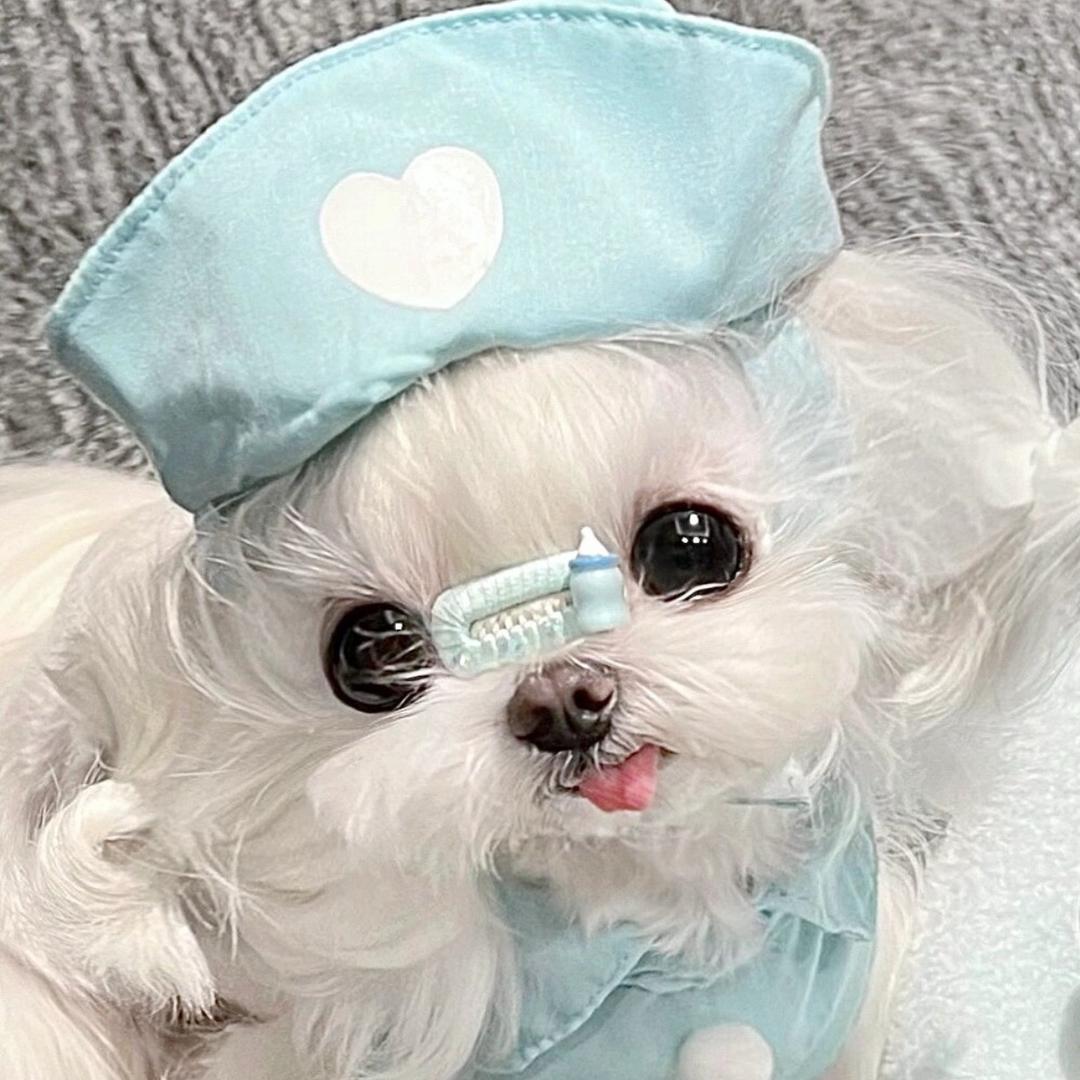 仔