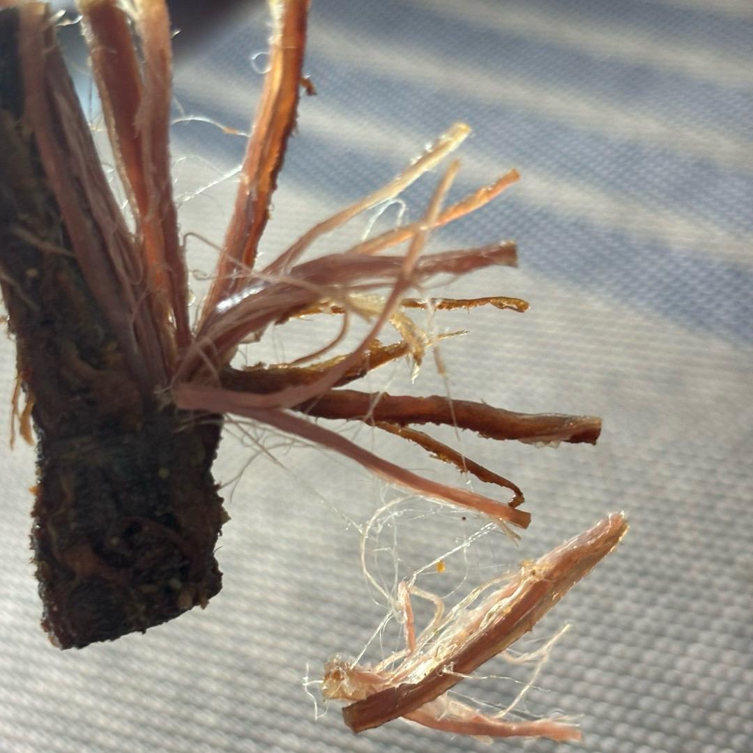 手撕牛肉干