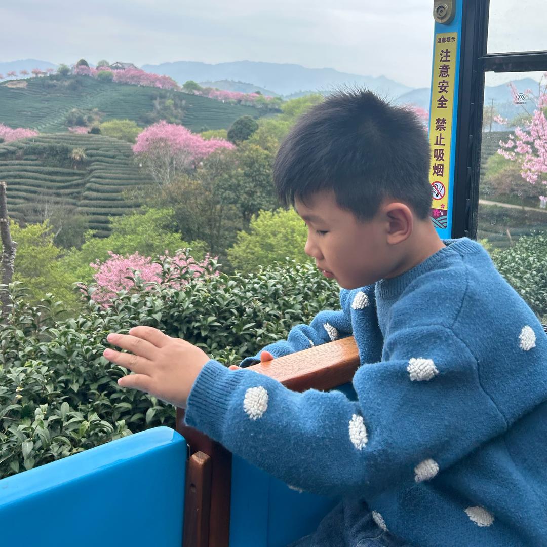 许许多多