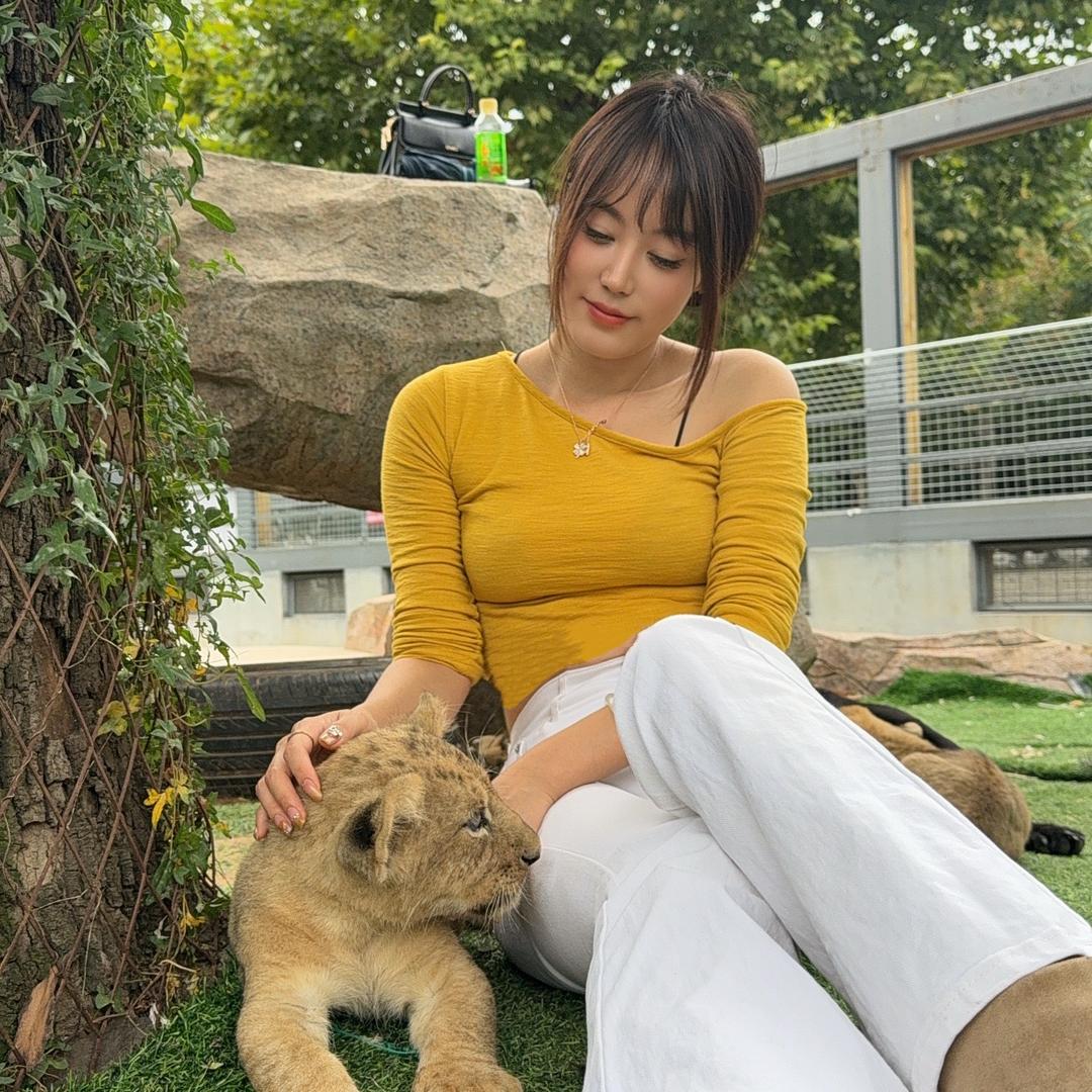 🌞Sun。