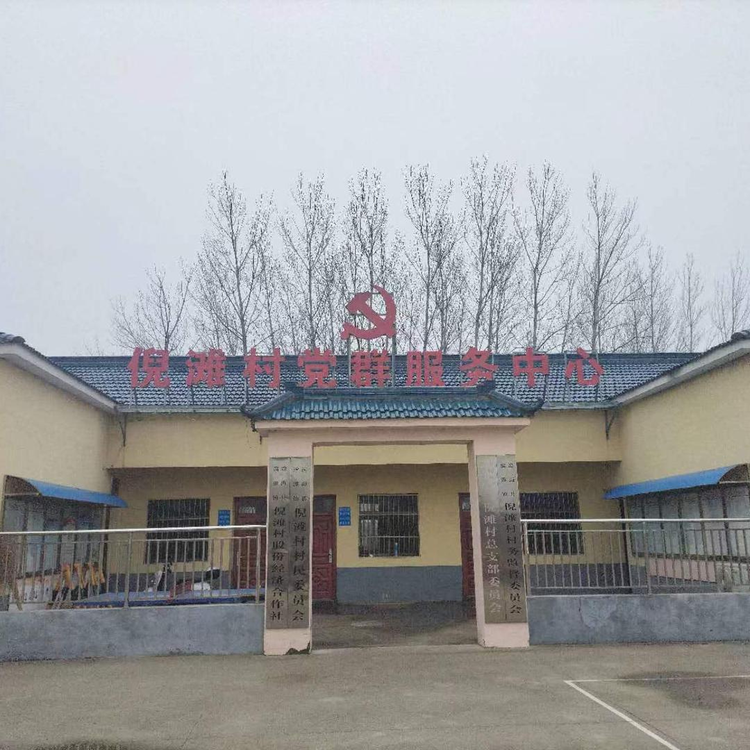 乡村振兴  助力倪滩