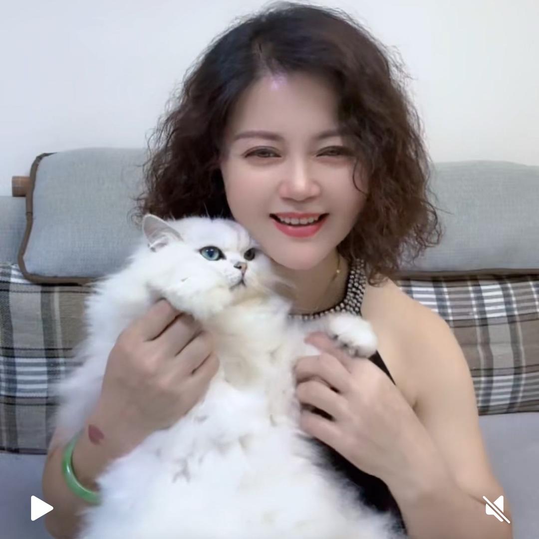 张扬的小白姐