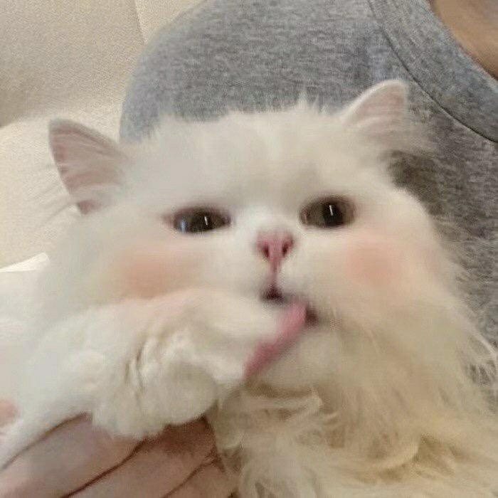 敬柔