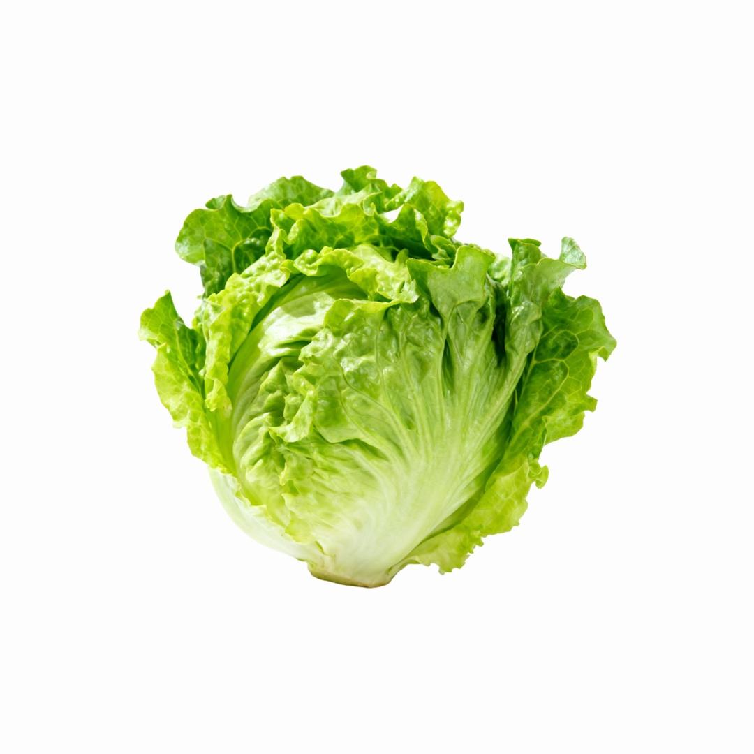 蕌