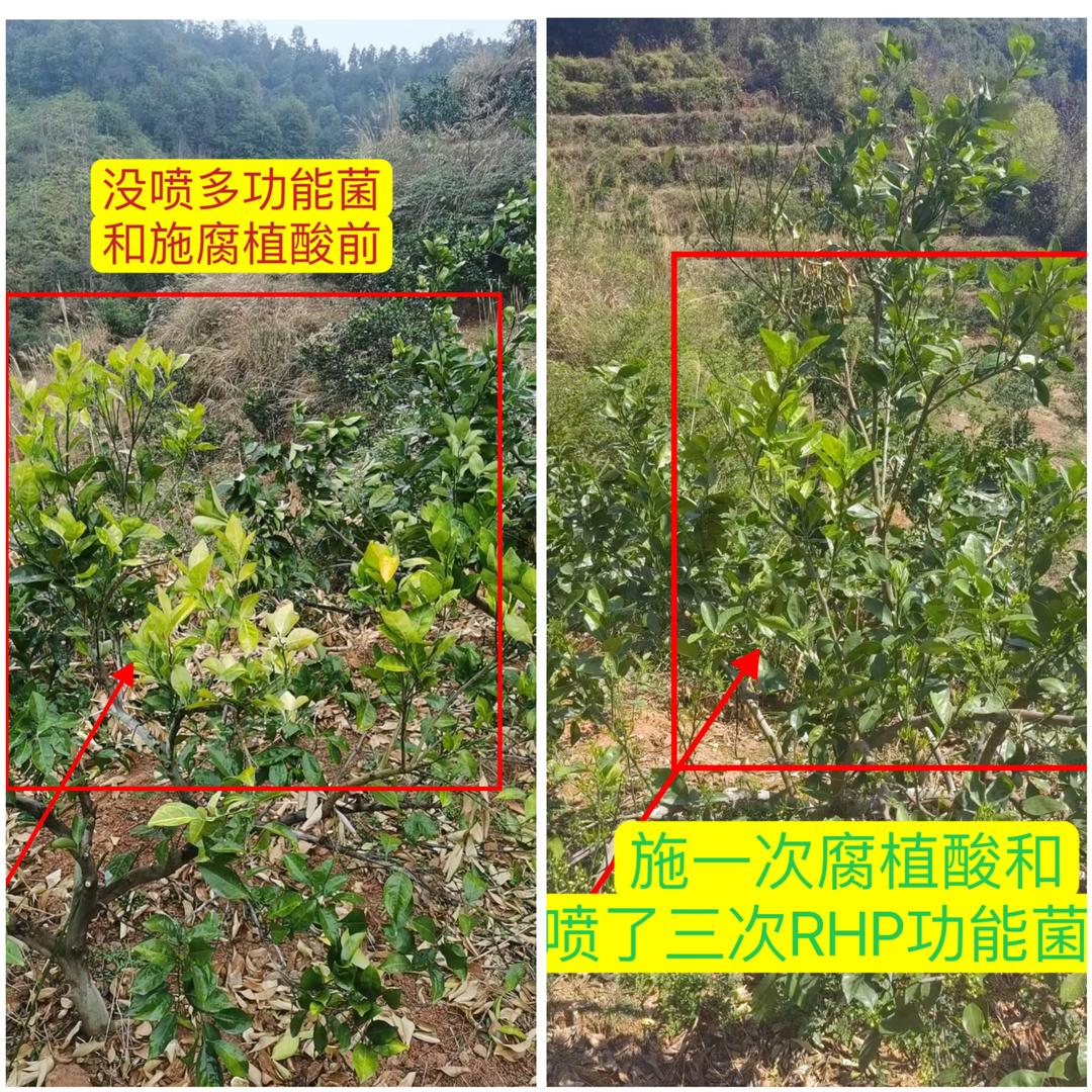 赣州经开区家果缘农副产品服务中心（个体工商户）