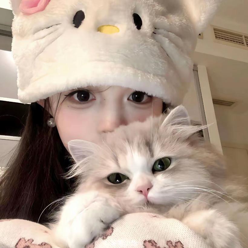 Kitty快乐小屋