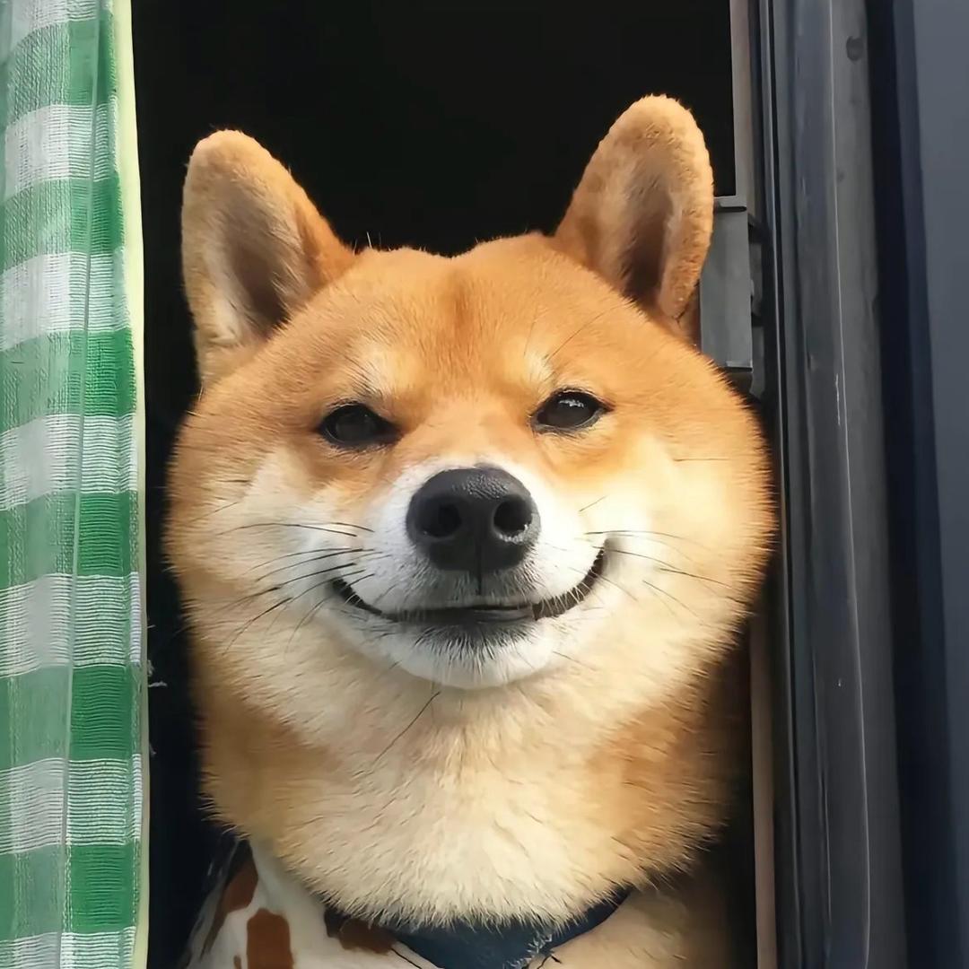 小小读者