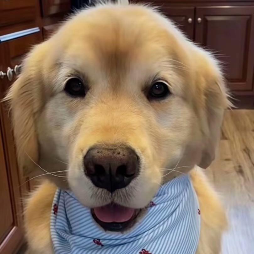 名字太长会有傻子一起念