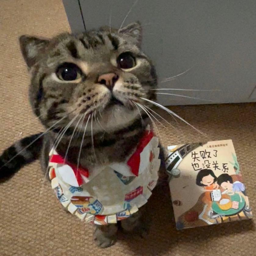 狸花啦👾