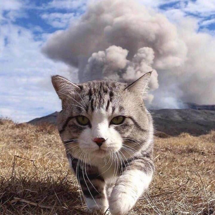 一声屁响
