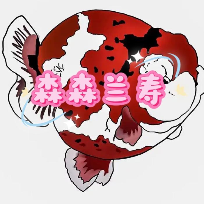 森森兰寿