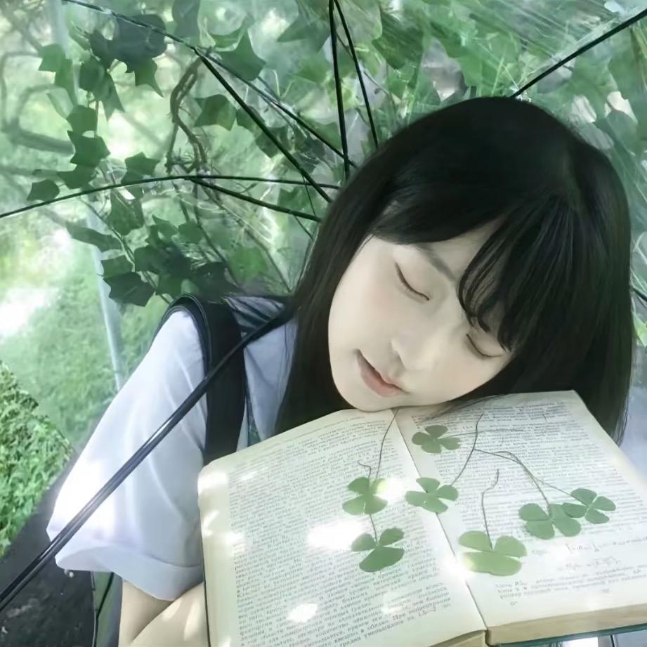 履冰者汽车用品